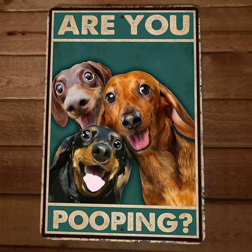 Are You Pooping Dachshund Dogs 8x12 Metal Wall Sign