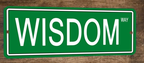 Wisdom Way 4x12 Metal Wall Sign Banner Poster Green Steet Sign