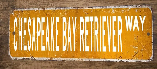 Chesapeake Bay Retriever Way 3x12 Metal Wall Sign