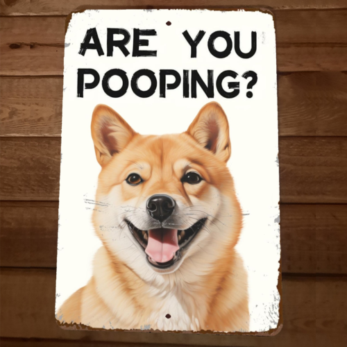 Are You Pooping Akita Dog 8x12 Funny Bathroom Metal Wall Sign