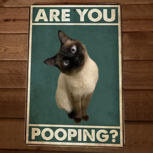 Are You Pooping Siamese Cat 8x12 Funny Bathroom Metal Wall Sign #5