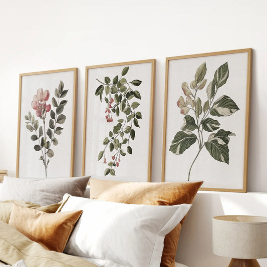 Floral Set of 3 Piece Wall Art. Magnolia, Honeysuckle Prints
