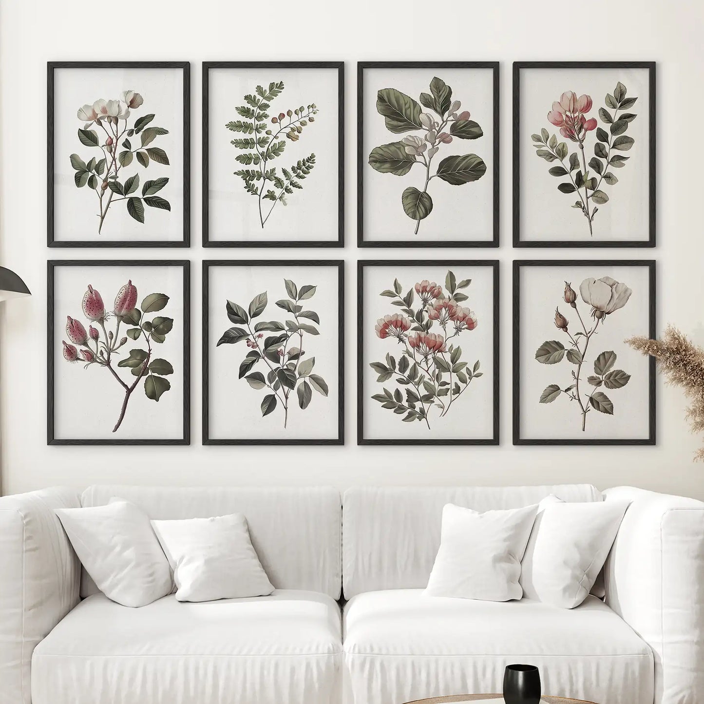 Antique Botanical set of 8 Prints. White Rose Wall Art