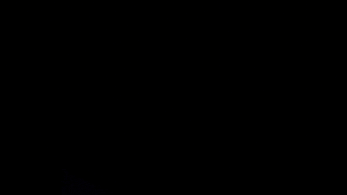 [VJ PACK] time [ 0 ] ultraviolet focus