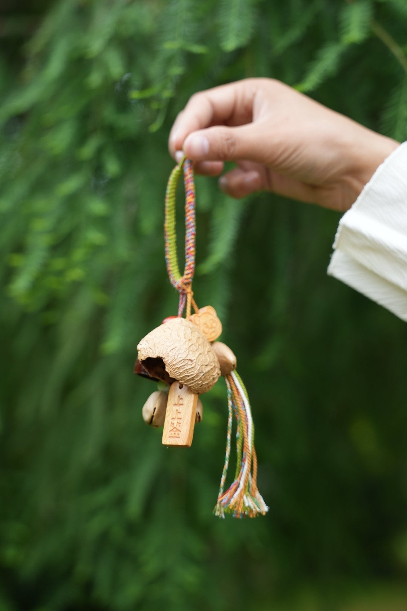 "The Fortune Seed" Natural Seed Charm