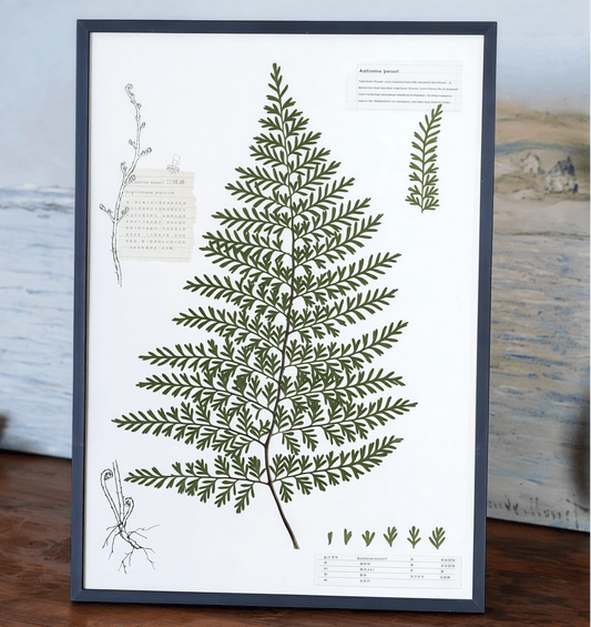 "The Grand Herbarium" Pressed Fern Flower Art