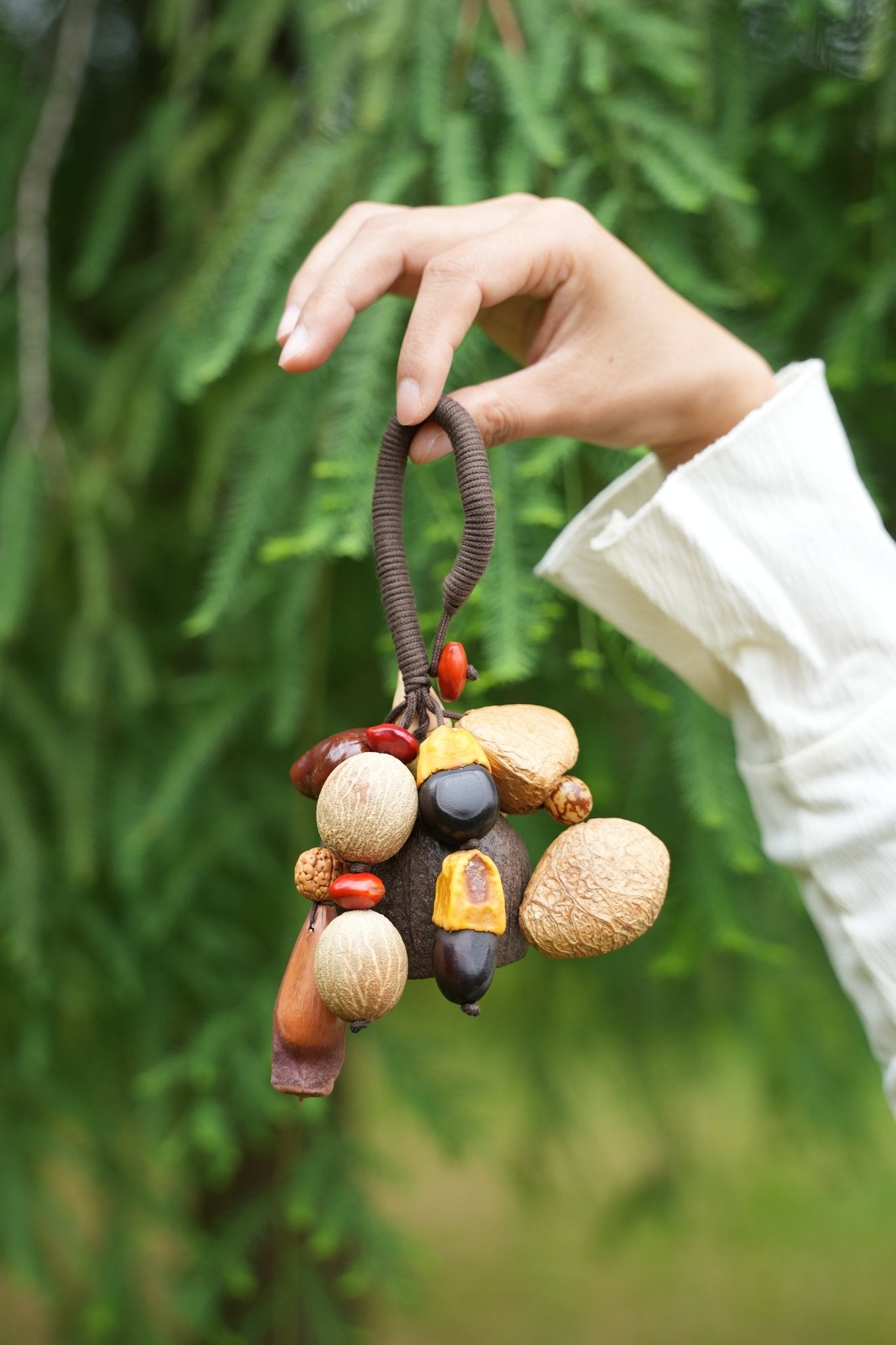 "The Woodland Harvest" - Mixed Forest Nut Cluster Charm with Lucky Red Seeds