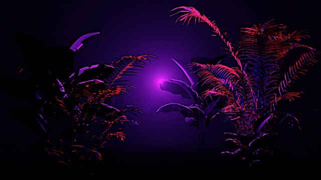 [VJ PACK] time [ 0 ] ultraviolet focus