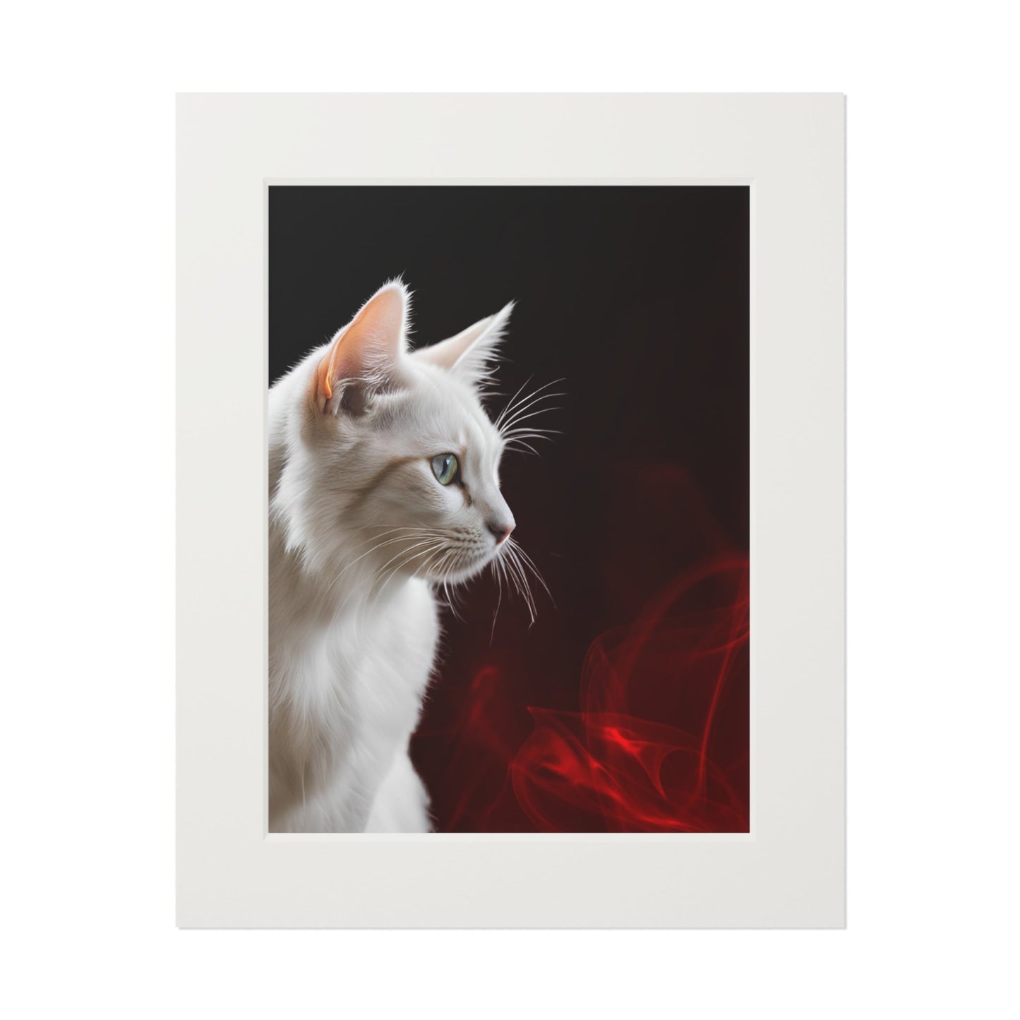 Wonderful White Cat Fine Art Print with Passepartout Frame