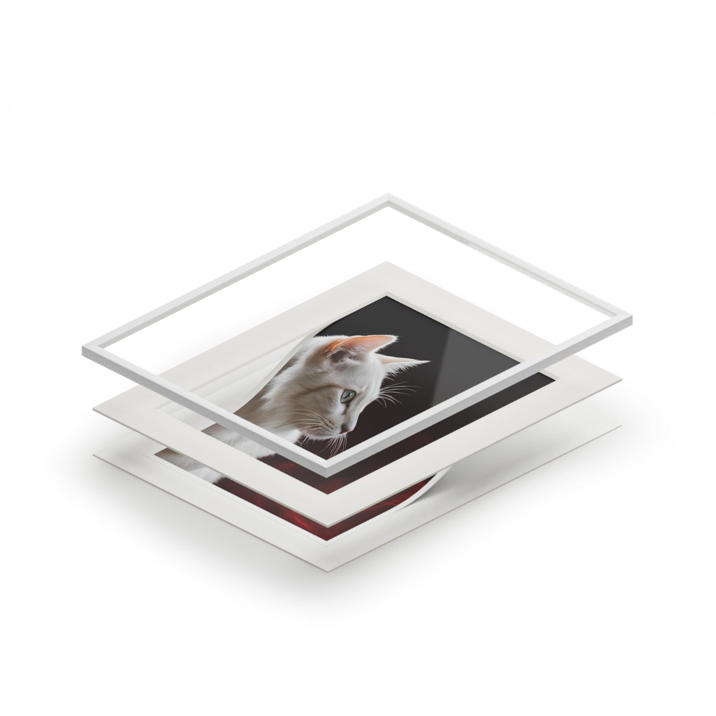Wonderful White Cat Fine Art Print with Passepartout Frame