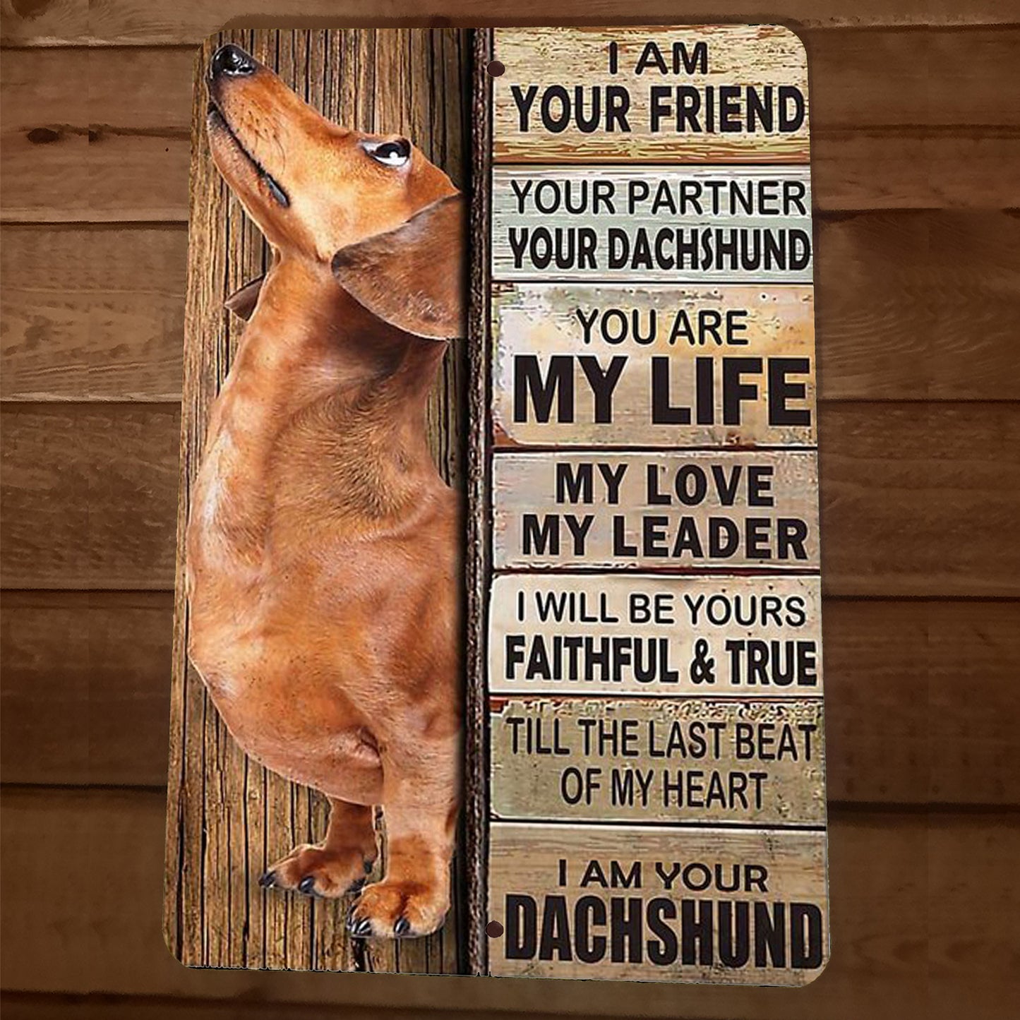 Bundle of Barks 5 Dachshund Weiner Dog 8x12 Metal Animal Walls Signs and Mouse pad
