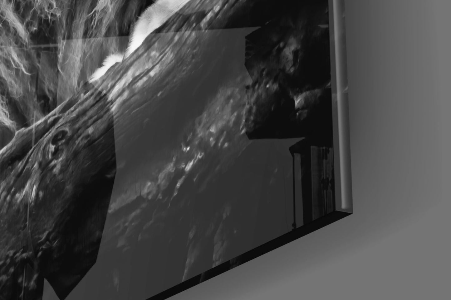Lion Glass Wall Art