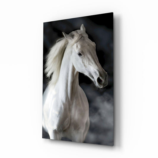 Horse Glass Wall Art