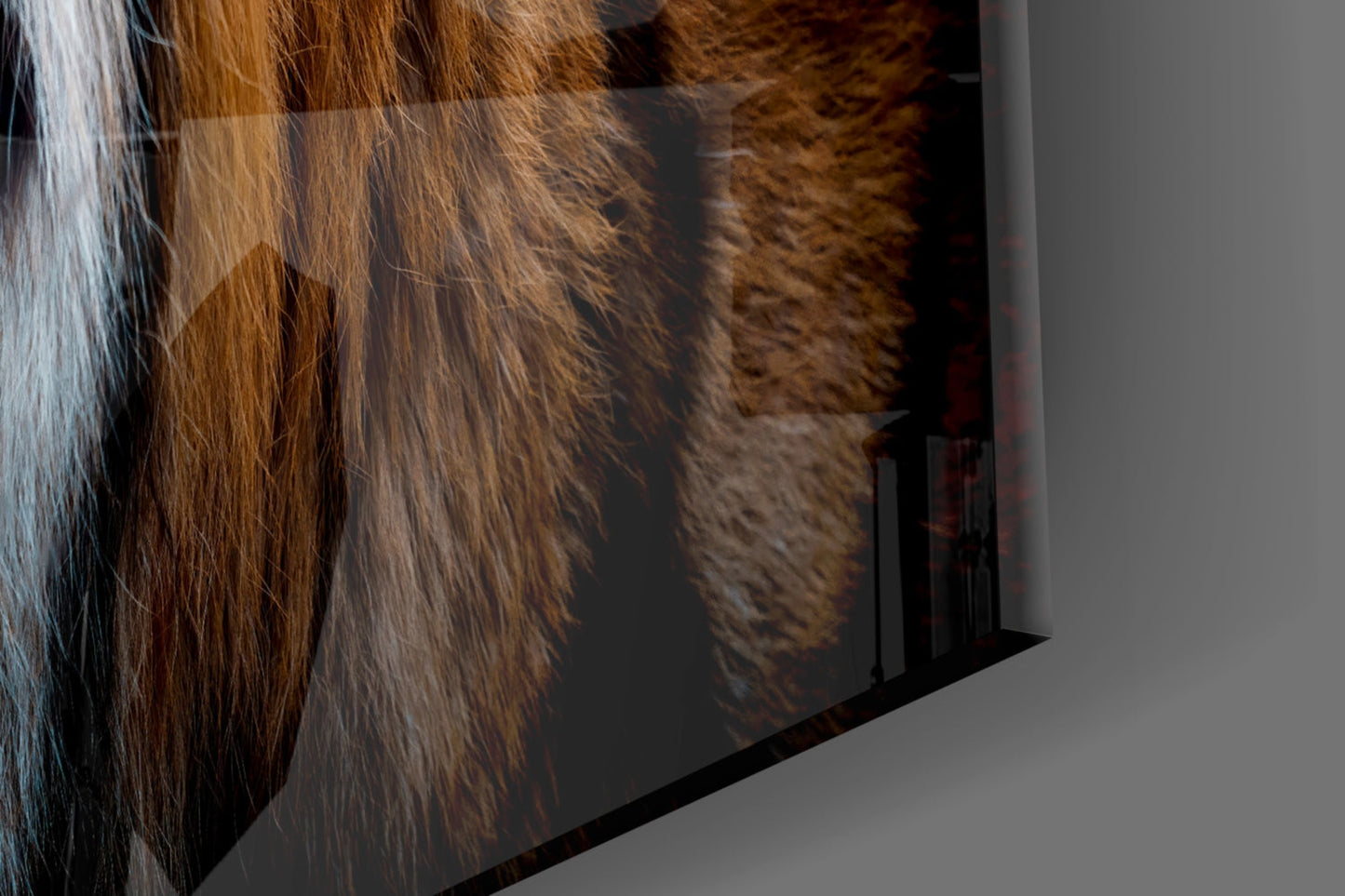 Tiger Glass Wall Art