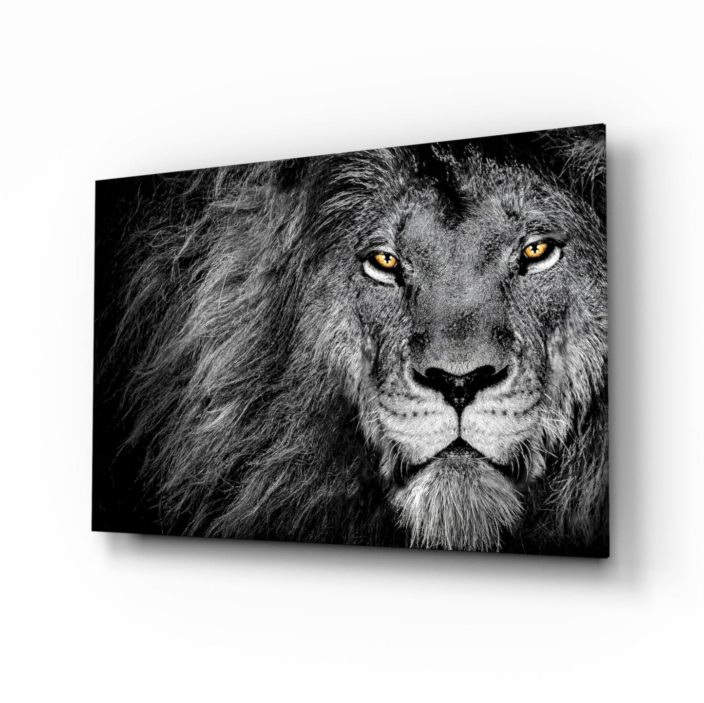 Lion Glass Wall Art