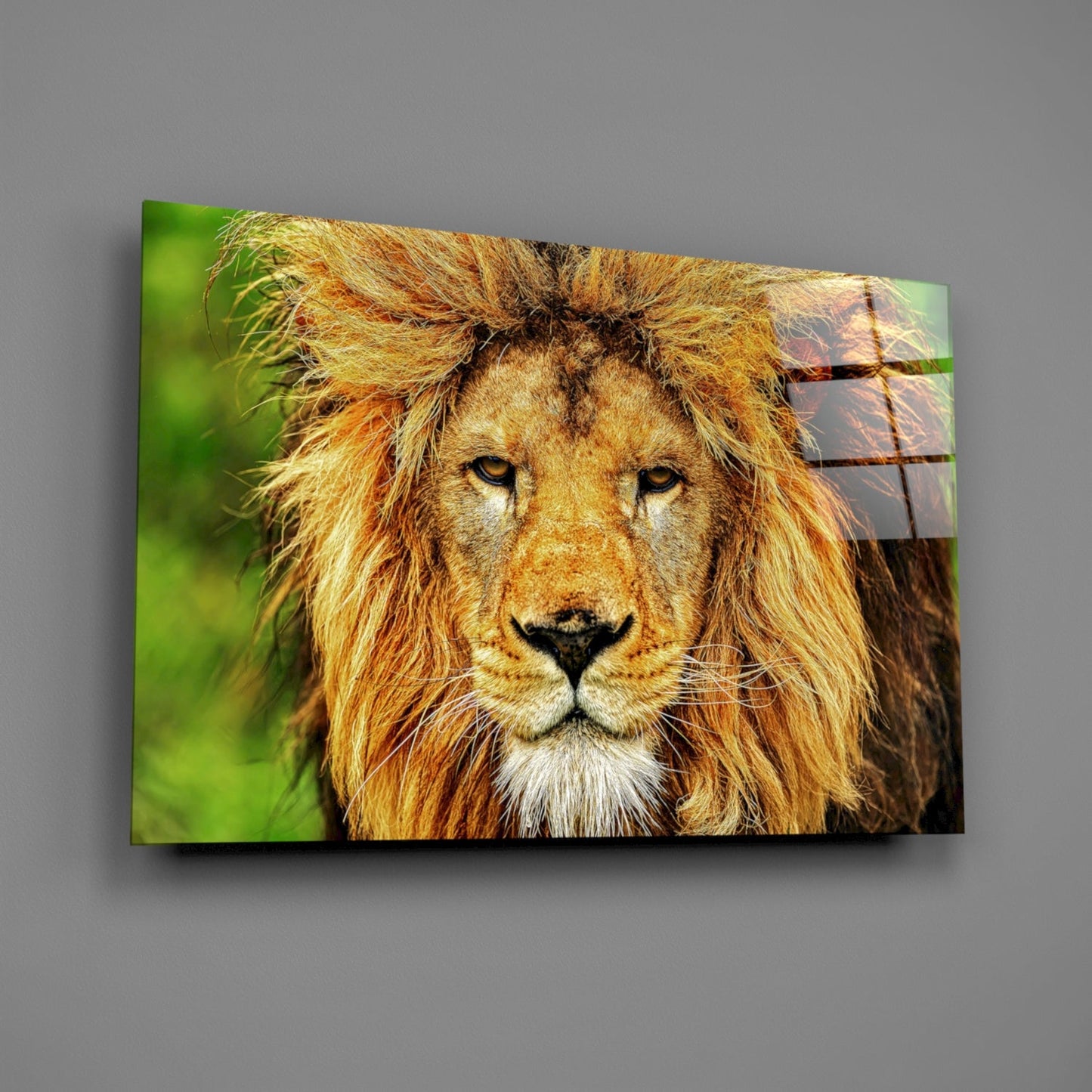 Lion Glass Wall Art