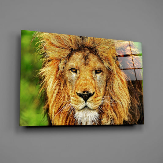 Lion Glass Wall Art