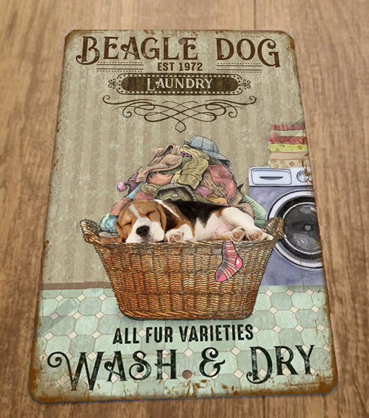 Beagle Dog Laundry 1972 Wash and Dry All Fur Varieties 8x12 Metal Wall Sign Animals