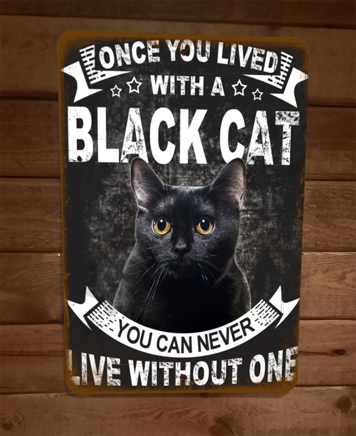 Once You Lived With a Black Cat You Can NEver Live Without One 8x12 Metal Sign Animals