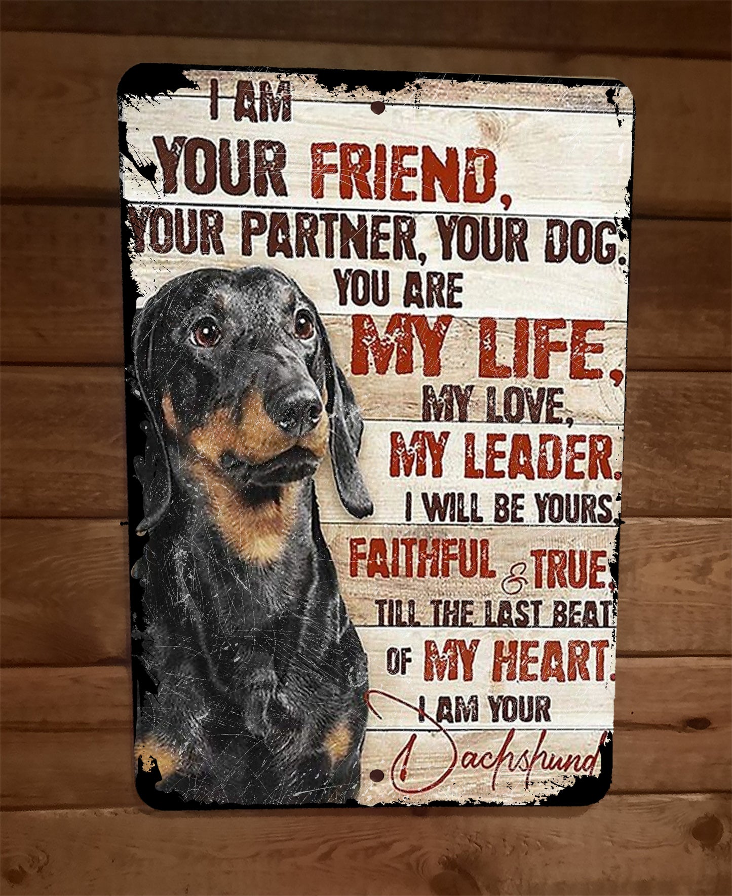 I am Your Friend Your Partner Your Dog Your Dachshund Black 8x12 Metal Wall Sign Animals