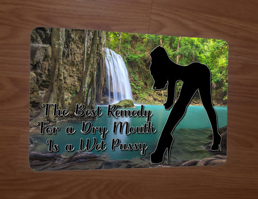 The Best Remedy for a Dry Mouth is a Wet Pussy Funny 8x12 Metal Wall Sign Misc Poster