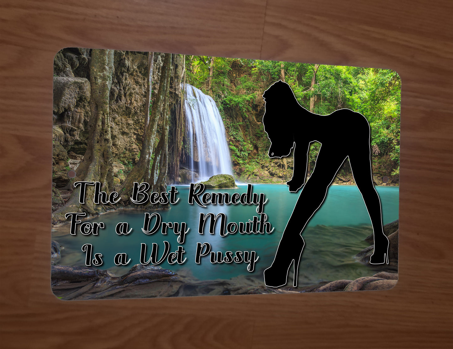 The Best Remedy for a Dry Mouth is a Wet Pussy Funny 8x12 Metal Wall Sign Misc Poster