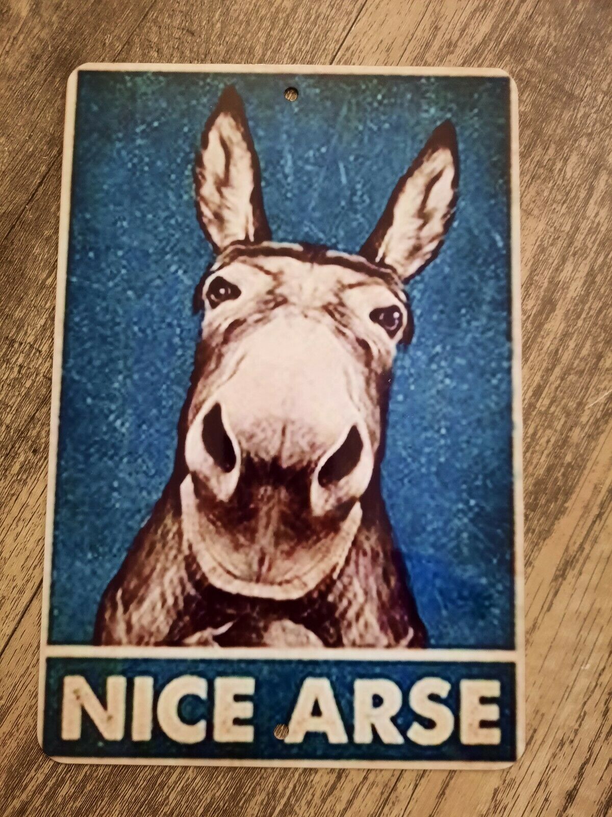 Nice Arse Donkey 8x12 Metal Wall Sign Animals