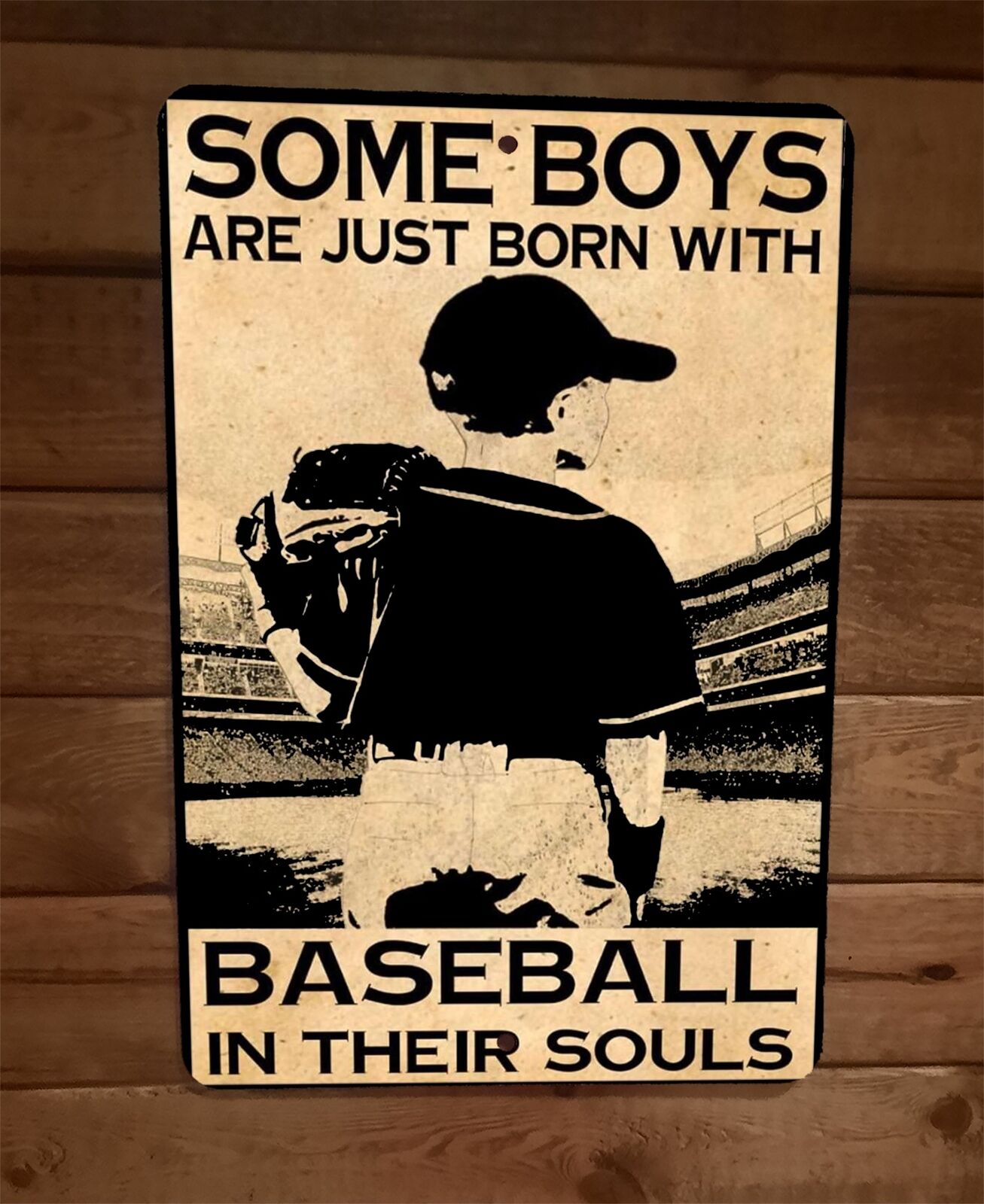 Some Boys Are Just Born With Baseball in Their Souls 8x12 Metal Wall Sign Poster