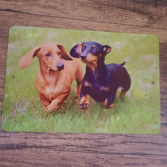 Cute photo of 2 Dachshund Weiner Dogs 8x12 Metal Wall Sign Animals