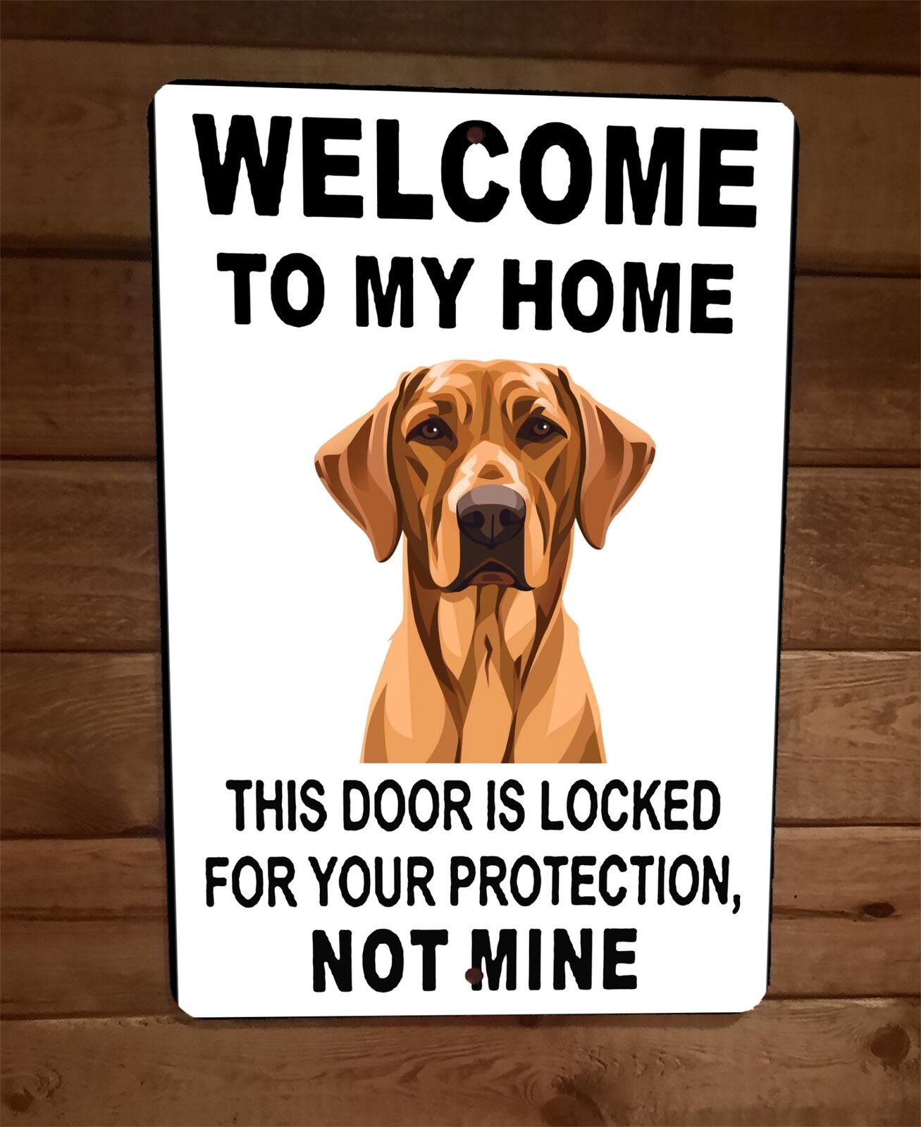 Door is Locked for Your Protection Rhodesian Ridgeback Dog 8x12 Wall Animal Sign