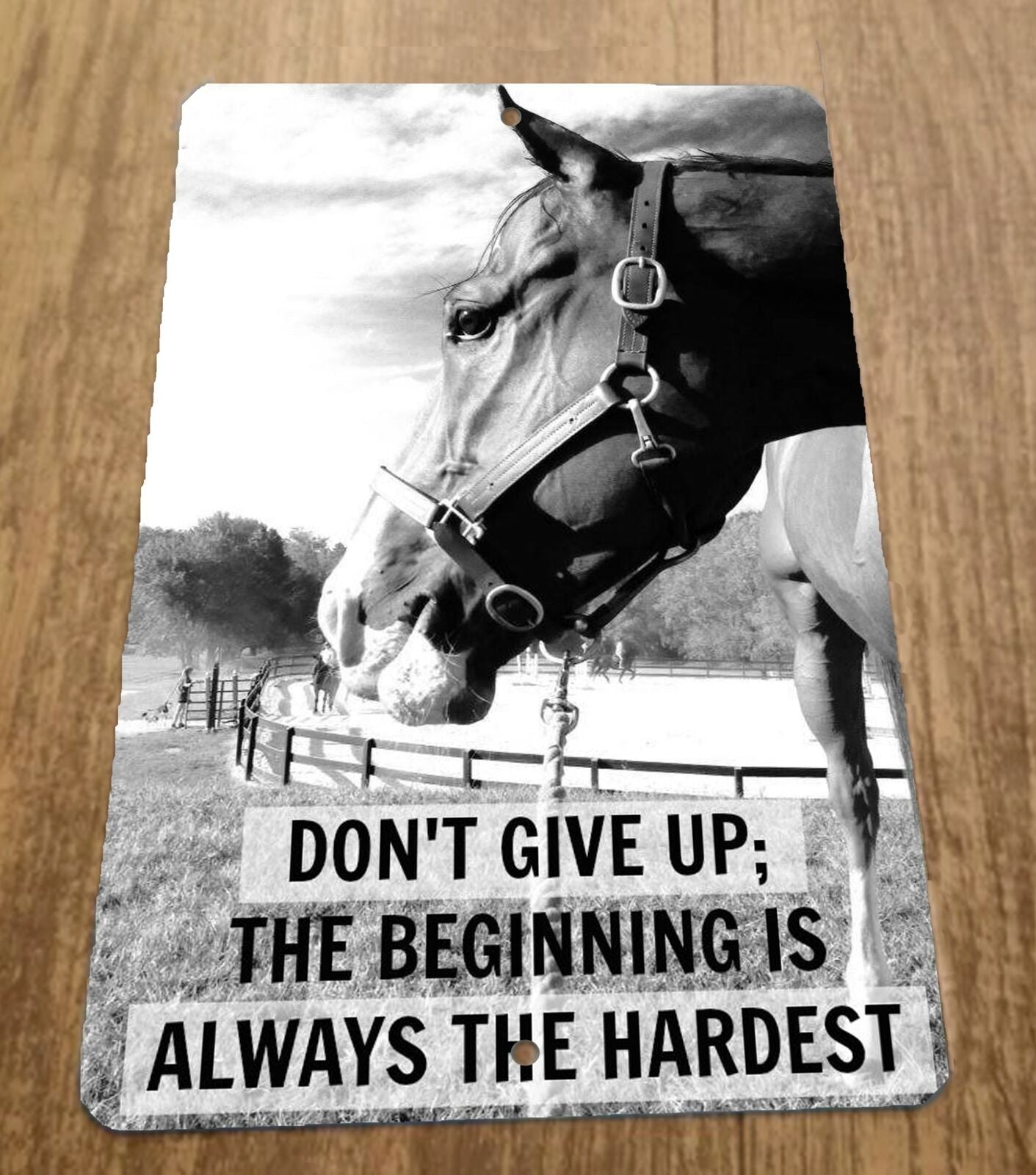 Dont Give Up The Beginning is Always the Hardest Horse 8x12 Metal Animal Sign Quote