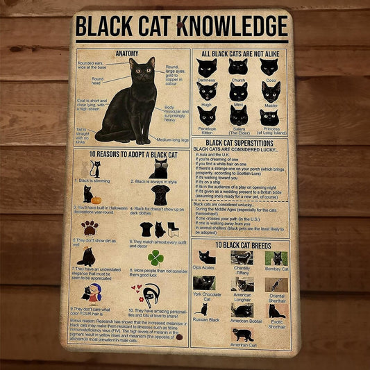 Black Cat Knowledge 8x12 Metal Wall Animal Sign