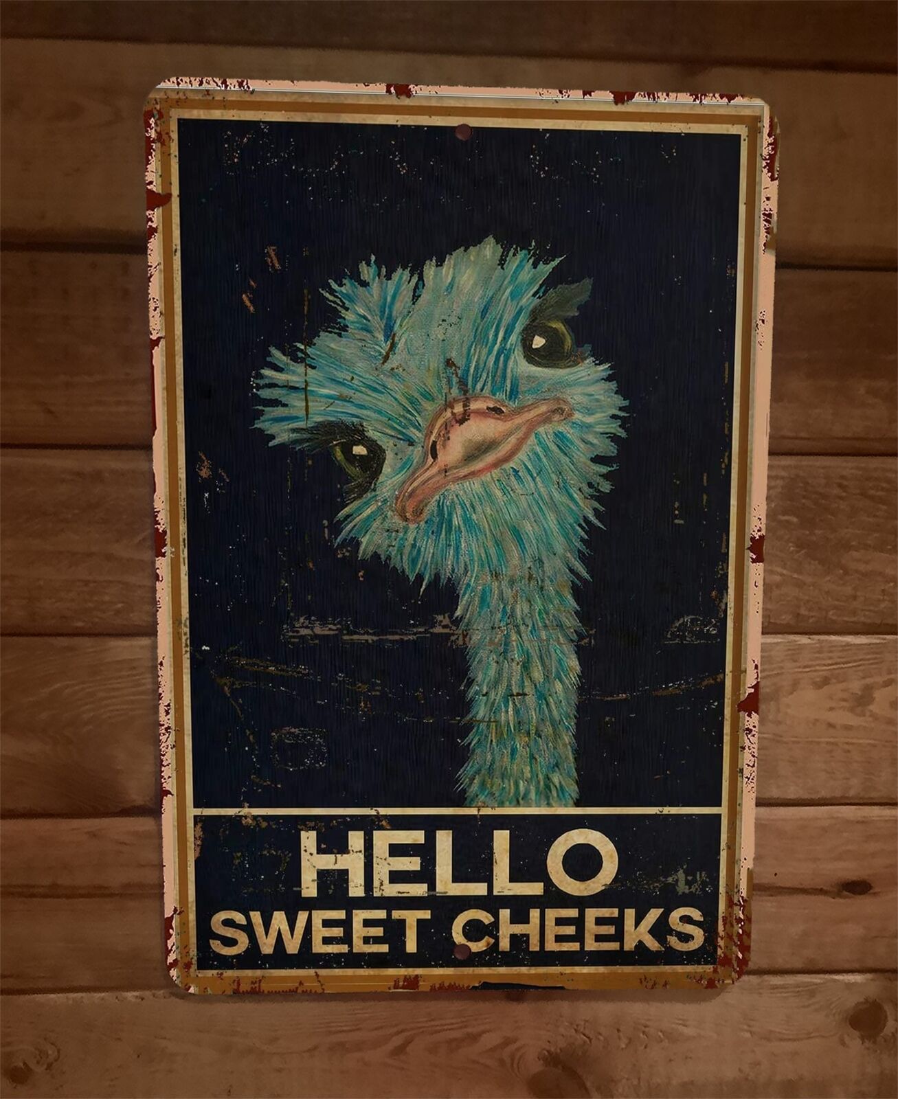 Hello Sweet Cheeks Ostridge 8x12 Metal Wall Sign Animal Poster