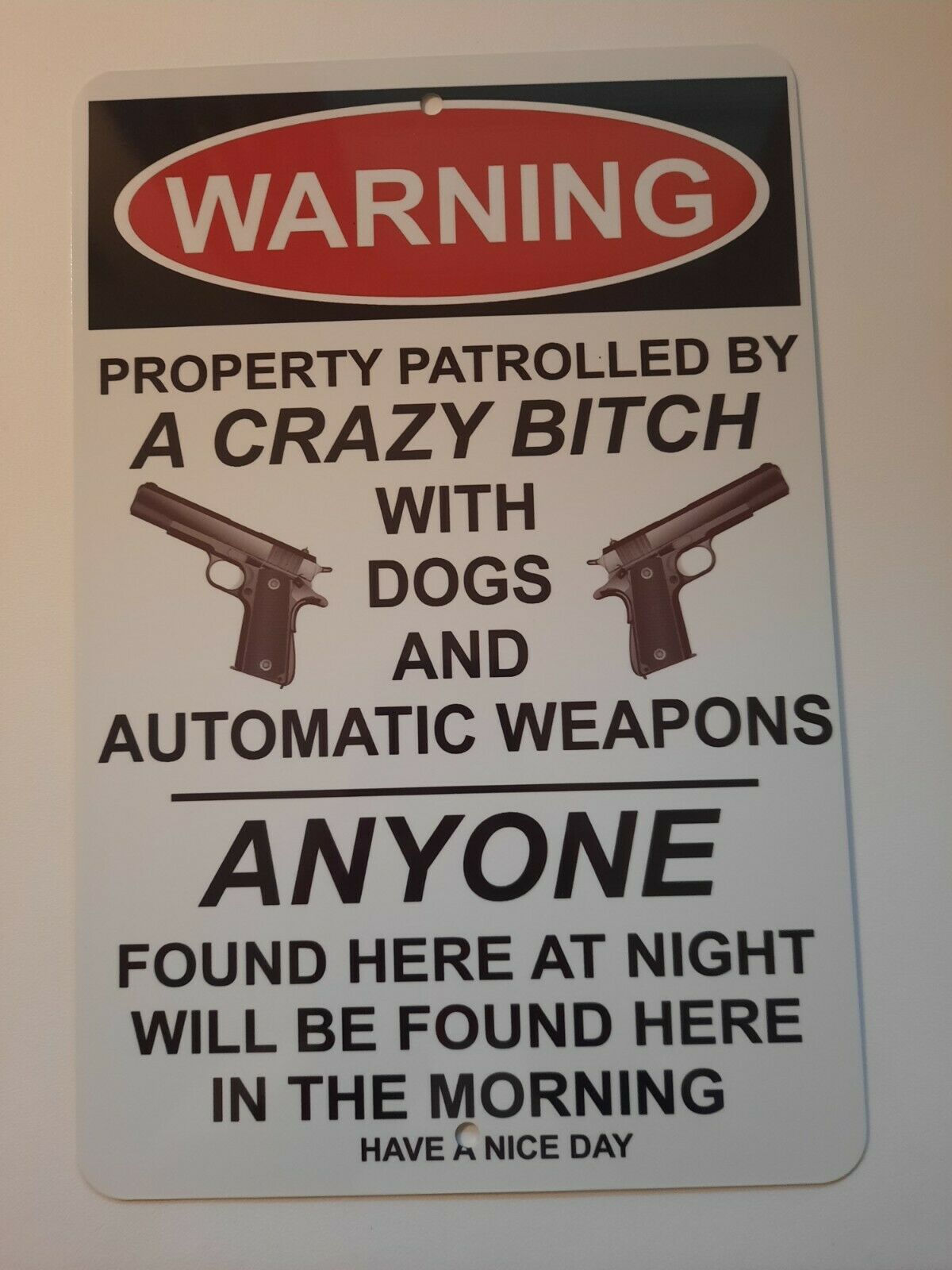Property Patrolled By a Crazy Bitch 8x12 Metal Wall Warning Sign Garage Man Cave