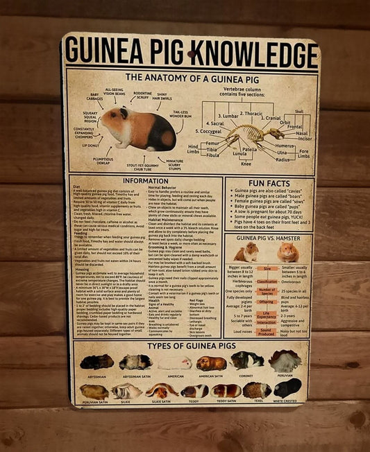 Guinea Pig Knowledge 8x12 Metal Wall Sign Animal Poster