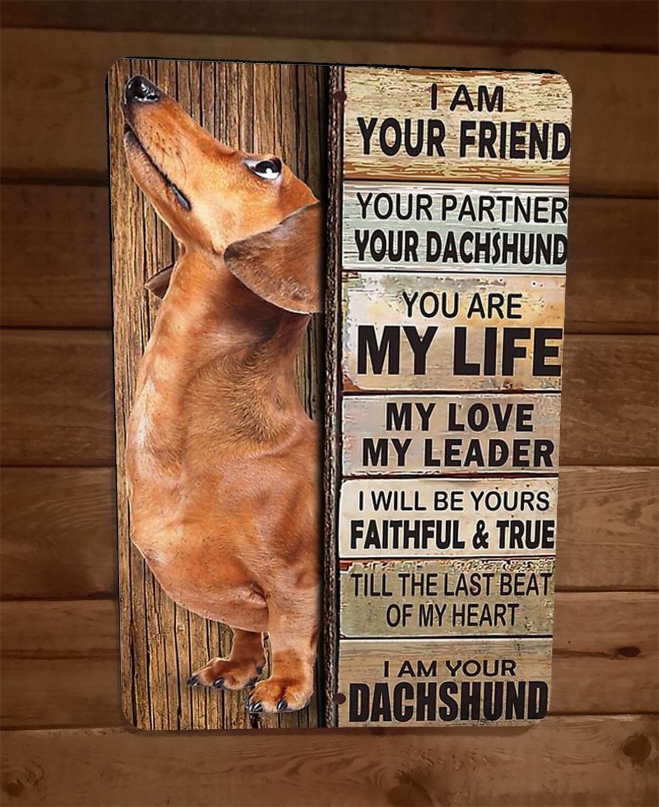 I am Your Dachshund Friend 8x12 Metal Wall Animal Dog Sign #1