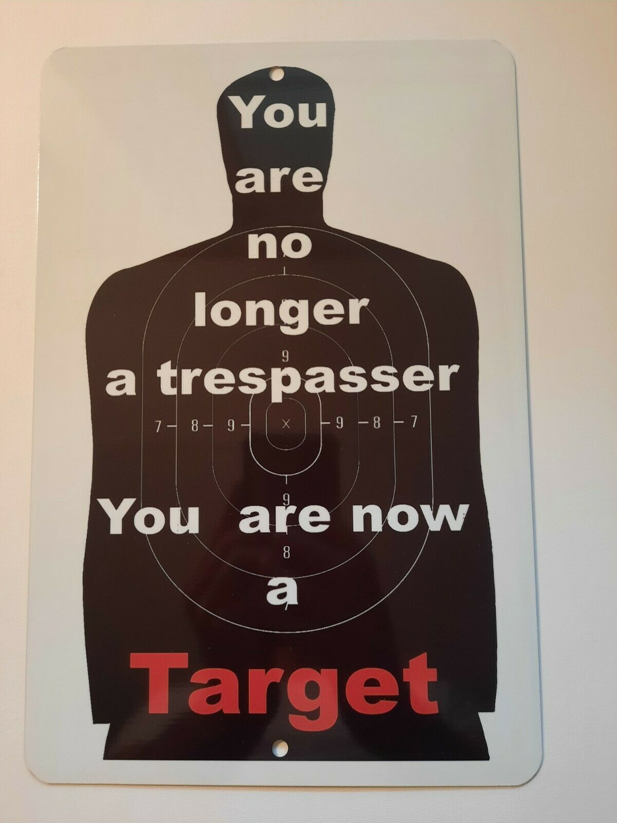 You are no longer a Trespasser You are now a Target 8x12 Metal Wall Sign