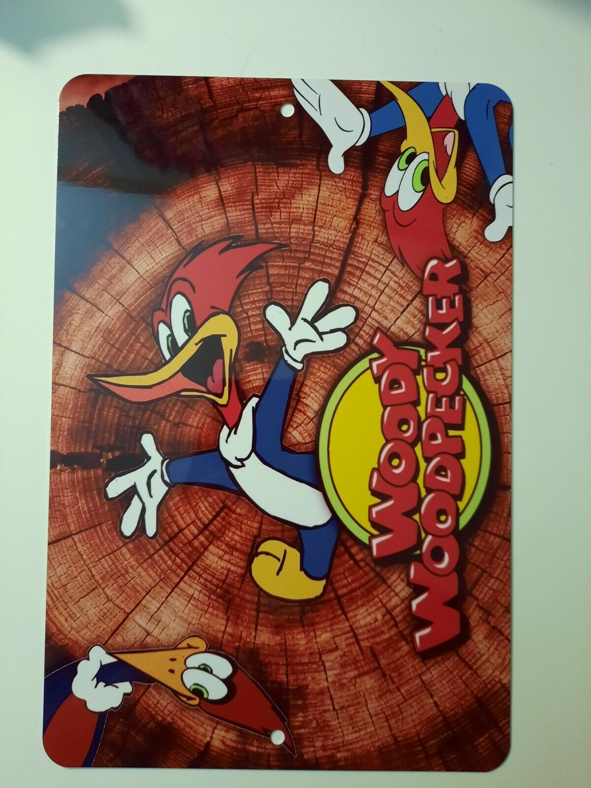 Woody Woodpecker Classic Cartoon 8x12 Metal Wall Sign