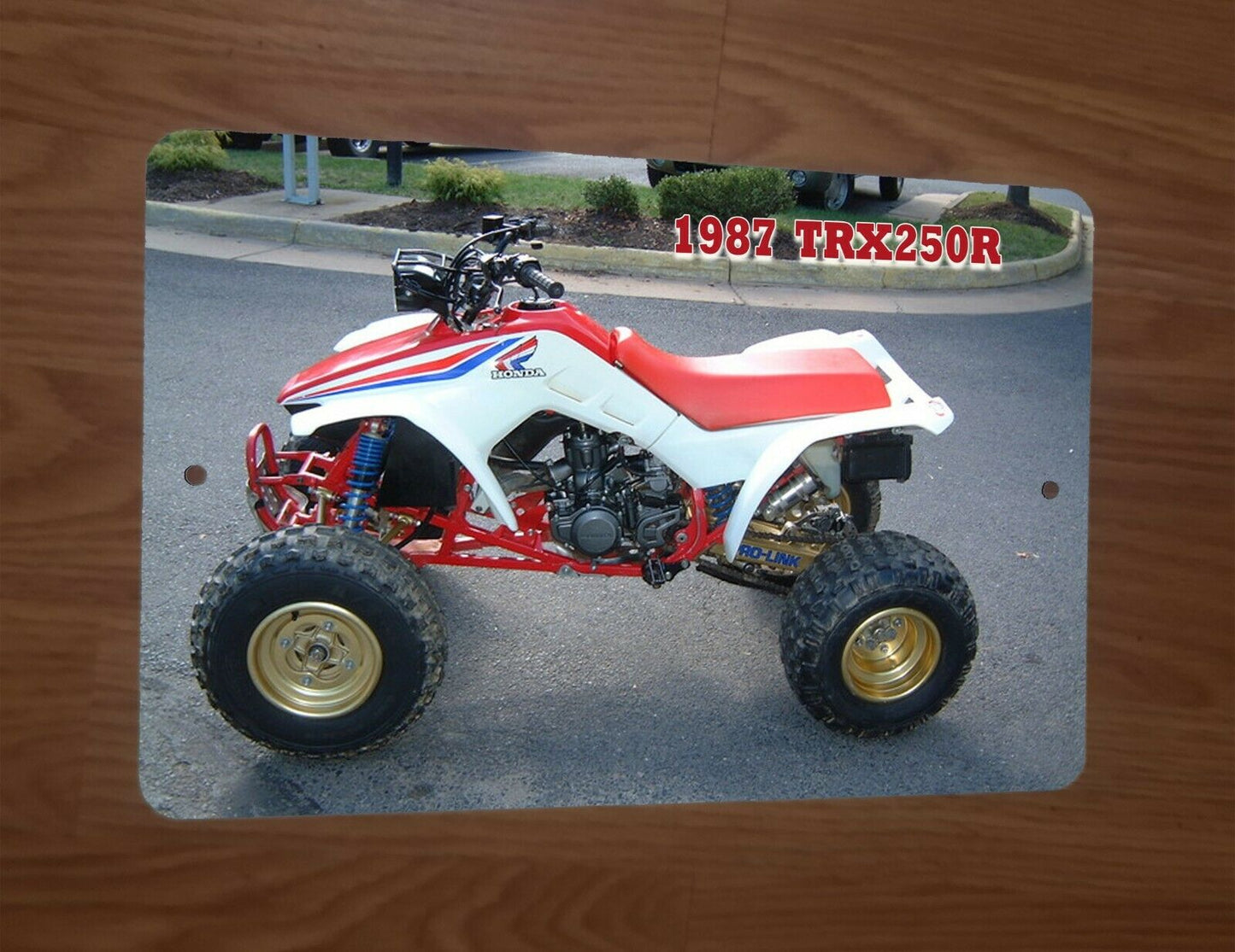 1987 Honda TRX250R Quad Photo 4 Wheeler Motorcycle ATV Bike 8x12 Metal Wall Sign Garage Poster