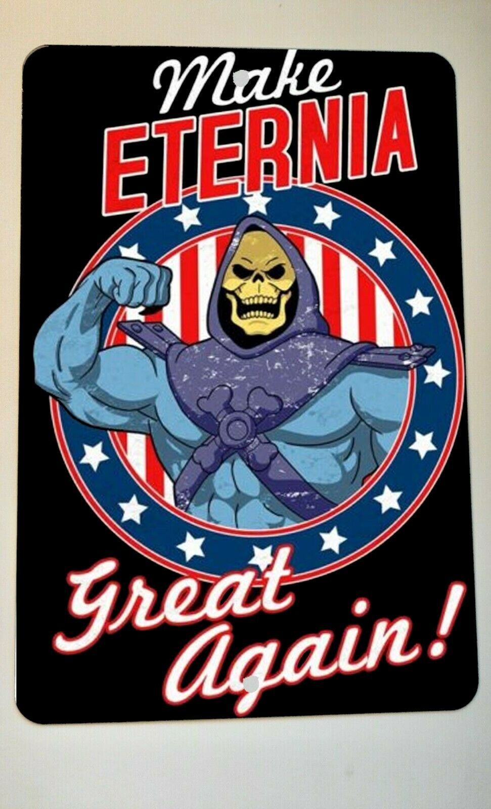 Make Eternia Great Again Skeletor MOTU Masters of the Universe 8x12 Metal Sign Retro 80s Cartoon
