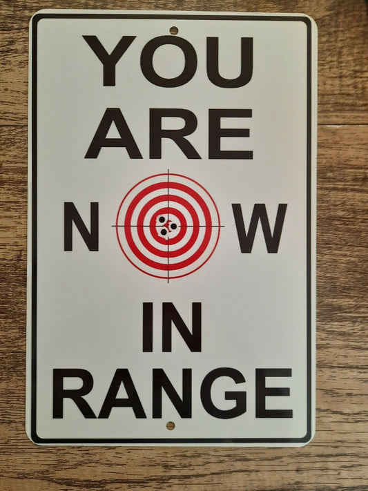 You Are Now in Range 8x12 Metal Wall Sign