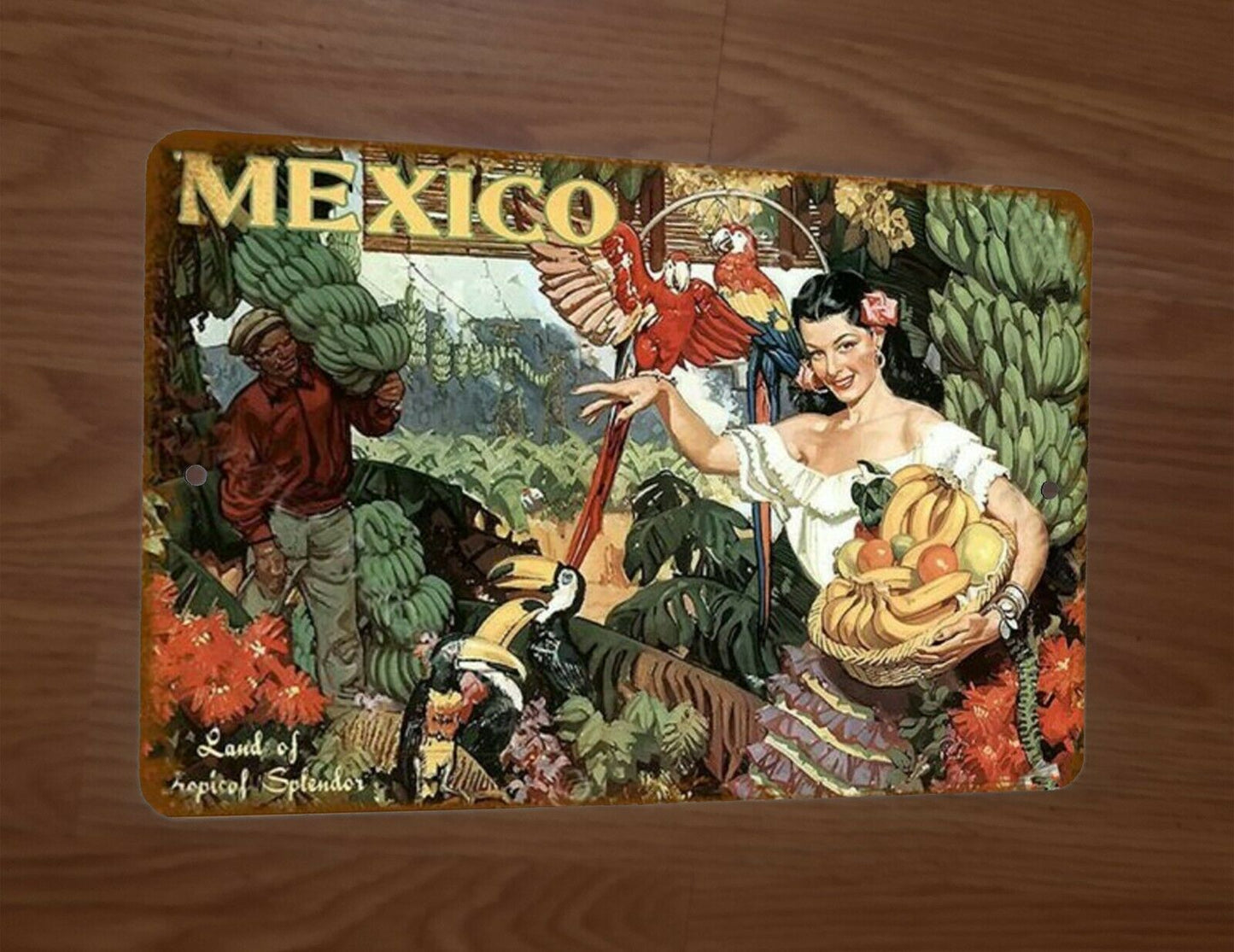 Mexico Land of Tropical Splendor 8x12 Metal Wall Sign Misc Poster