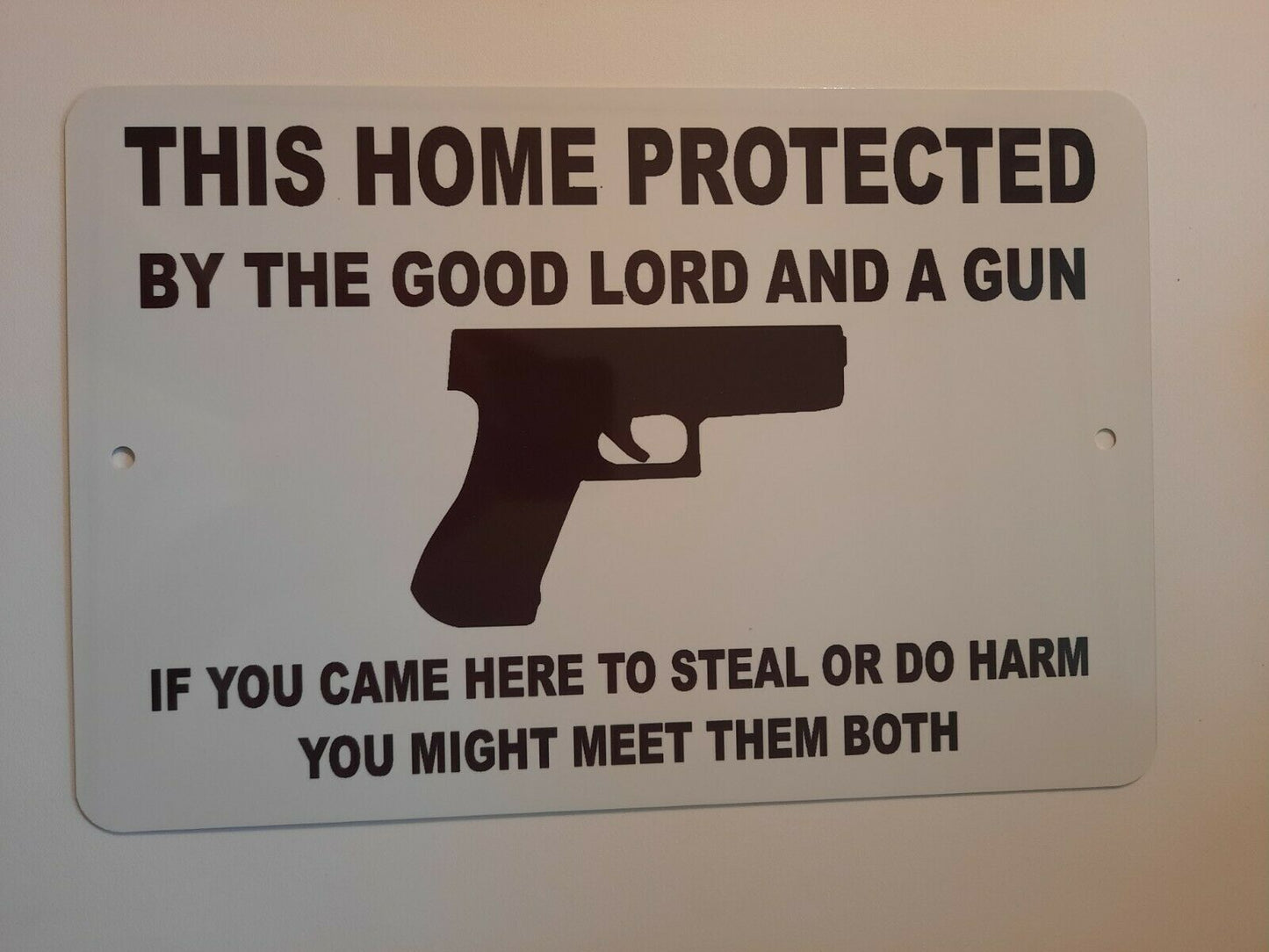 Home Protected by the Good Lord and a Gun 8x12 Metal Wall Warning Sign