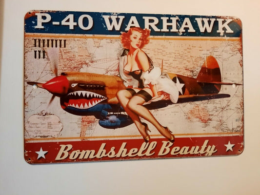 P-40 Warhawk Bombshell Beauty 8x12 Aluminum Metal Wall Garage Man Cave Sign Garage Poster Military Jet
