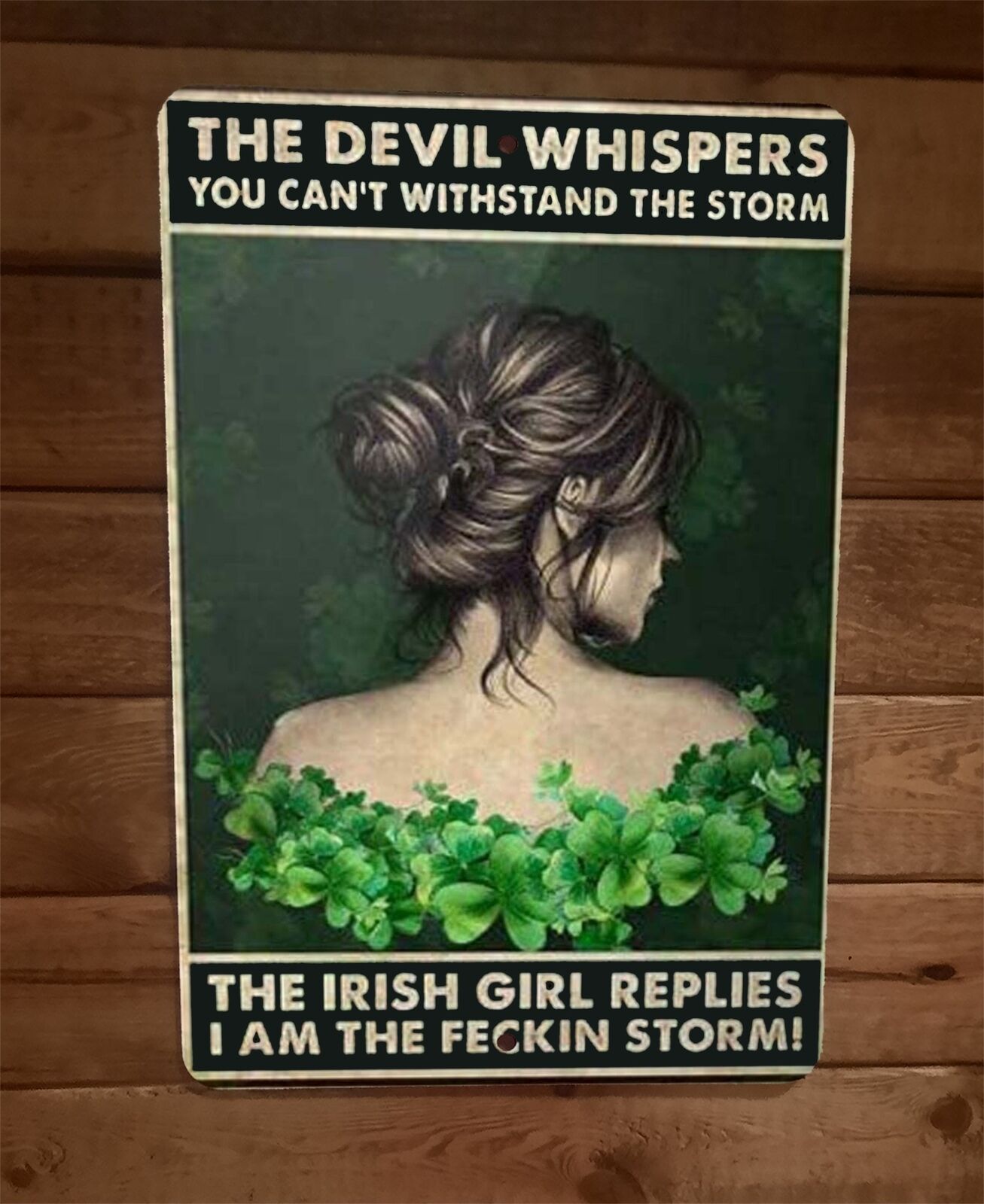 Irish Girl Feckin Storm Devil Quote 8x12 Metal Wall Sign Poster