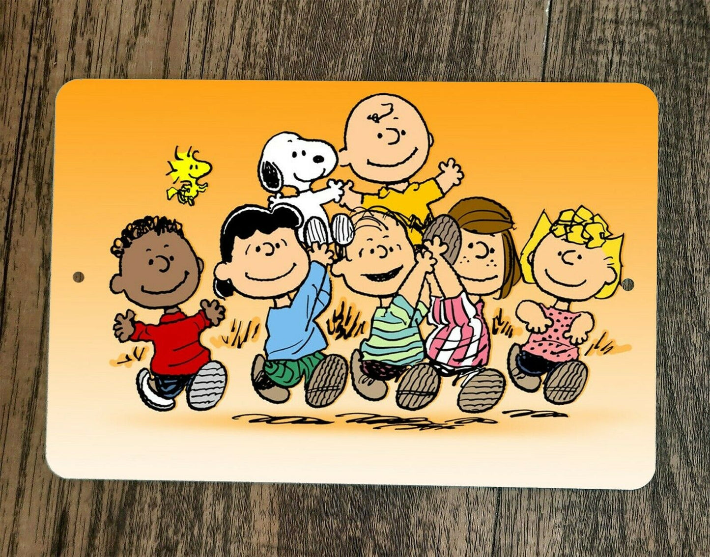 Peanuts Charlie Brown and the Gang 8x12 Metal Wall Sign #2 Classic Cartoon TV Show