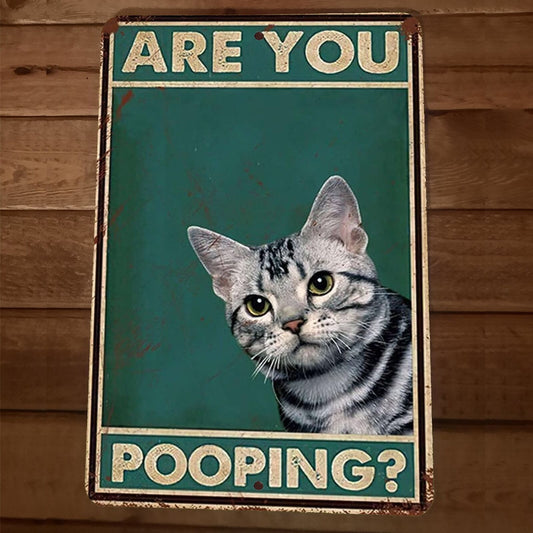Are You Pooping Cat 8x12 Metal Wall Sign Animal Bathroom Poster #4