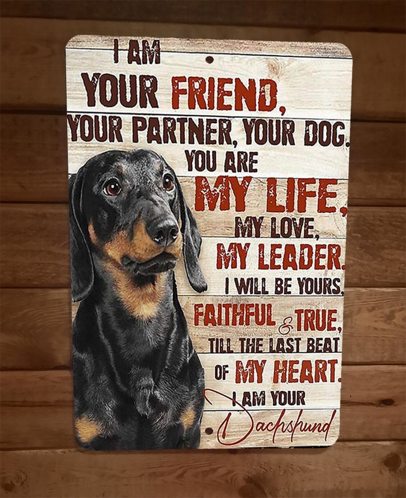I am your Dachshund Friend 8x12 Metal Wall Animal Dog Sign #2