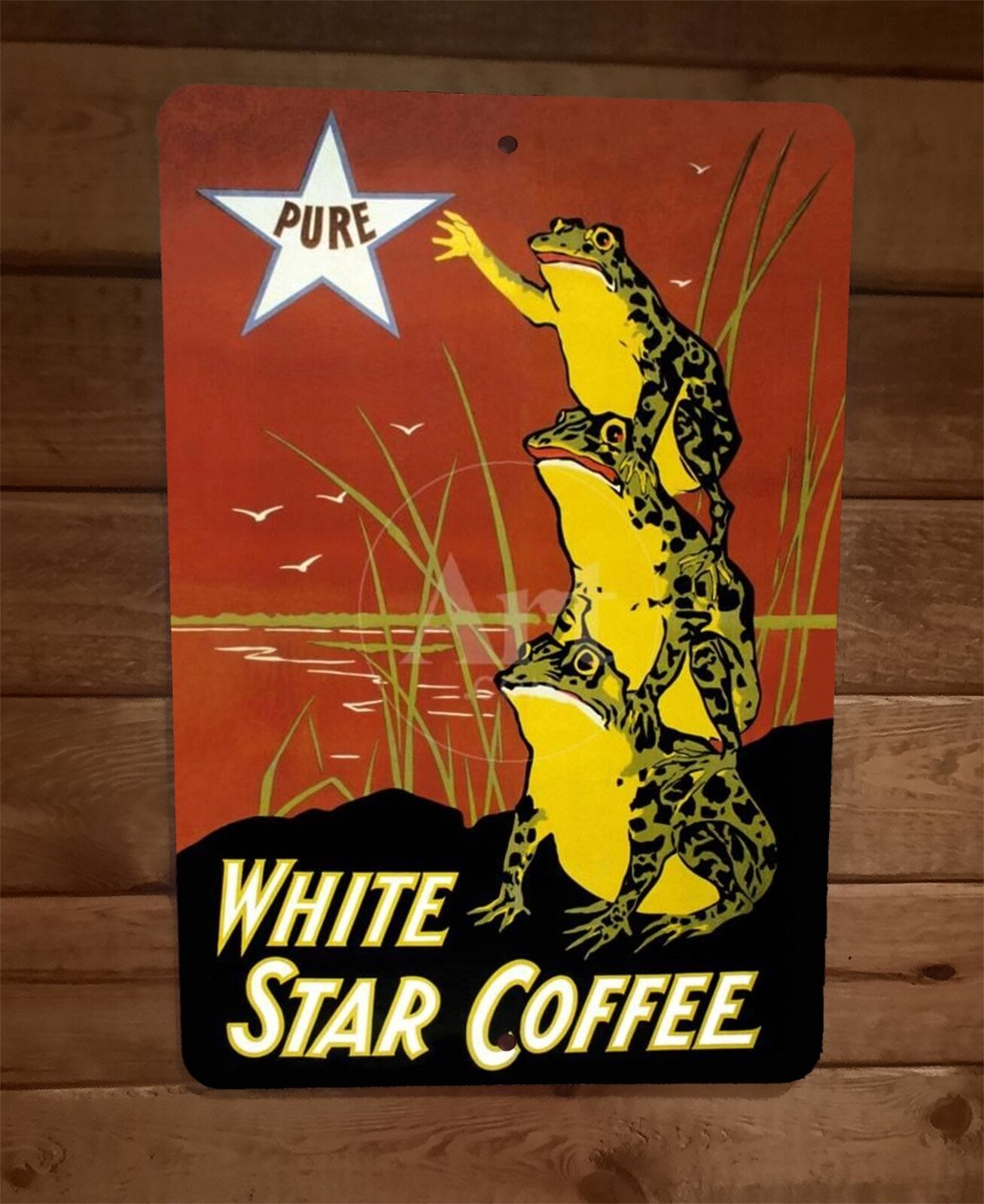 Pure White Star Coffee 8x12 Metal Wall Sign Poster