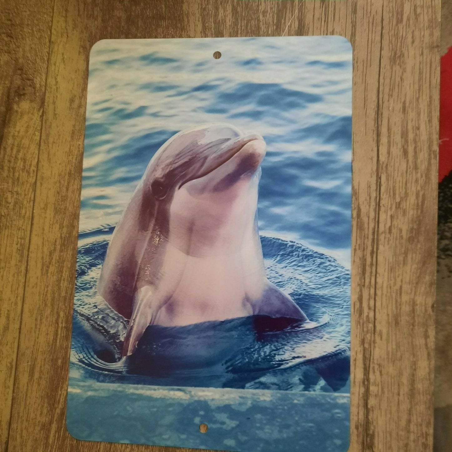 Smiling Dolphin 8x12 Metal Wall Sign Animals